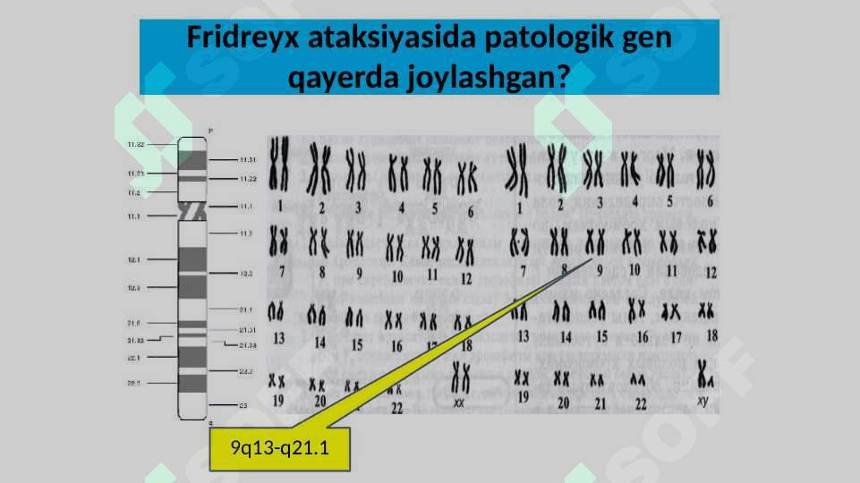 Nasliy asab kasalliklari 6