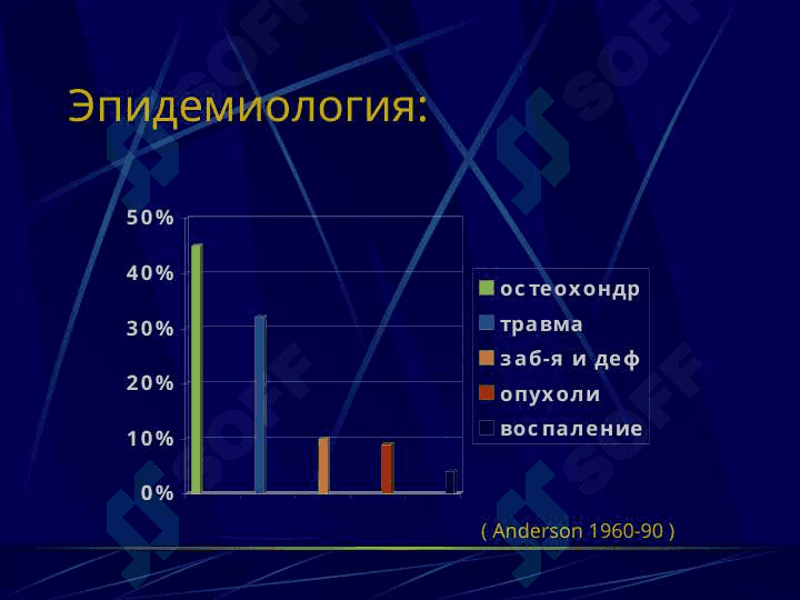 Умуртка погонаси ва орка мия шикастлари 2