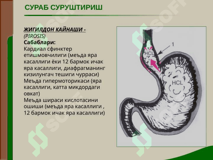 ОВКАТ ХАЗМ КИЛИШ АЪЗОЛАРИ КАСАЛЛИКЛАРИ БУЛГАН БЕМОРЛАРНИ ТЕКШИРИШ. СУРАБ СУРУШТИРИШ, КУЗДАН КЕЧИРИШ, КОРИН ПАЛЬПАЦИЯСИ. 8