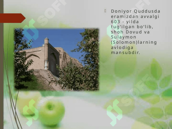 Xo`ja Doniyor 4