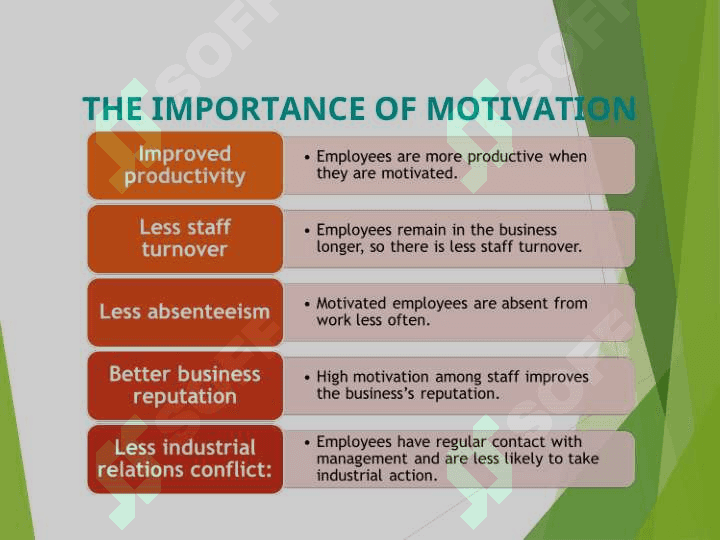 THE IMPORTANCE OF MOTIVATION 3