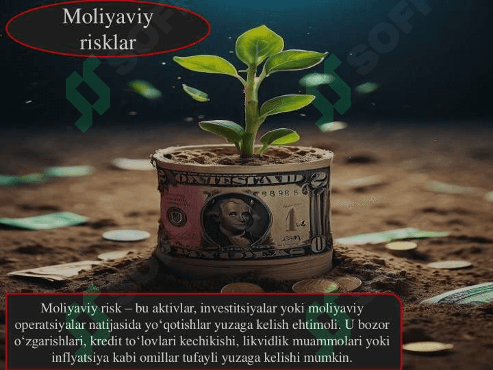 Moliyaviy risklar 6