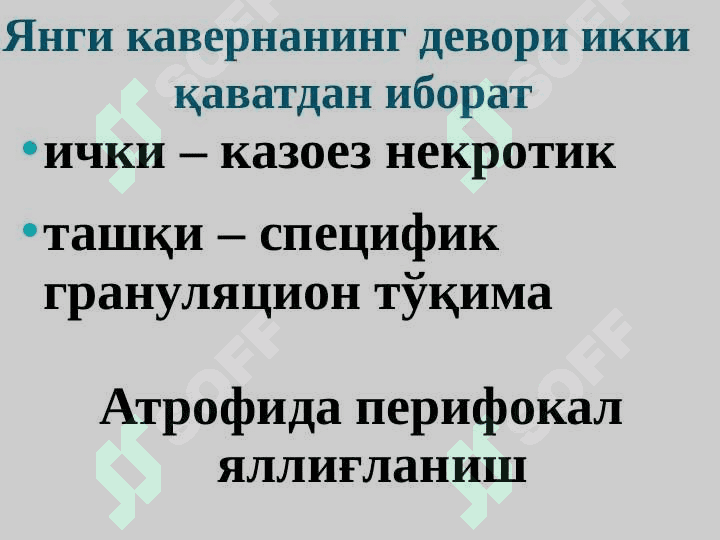O'pkaning kavernali tuberkulyozi 3
