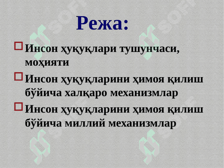Инсон ҳуқуқларини  ҳимоя қилиш бўйича халқаро ва миллий механизмлар 2