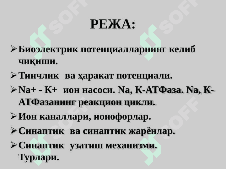 Биоэлектрогенез 2