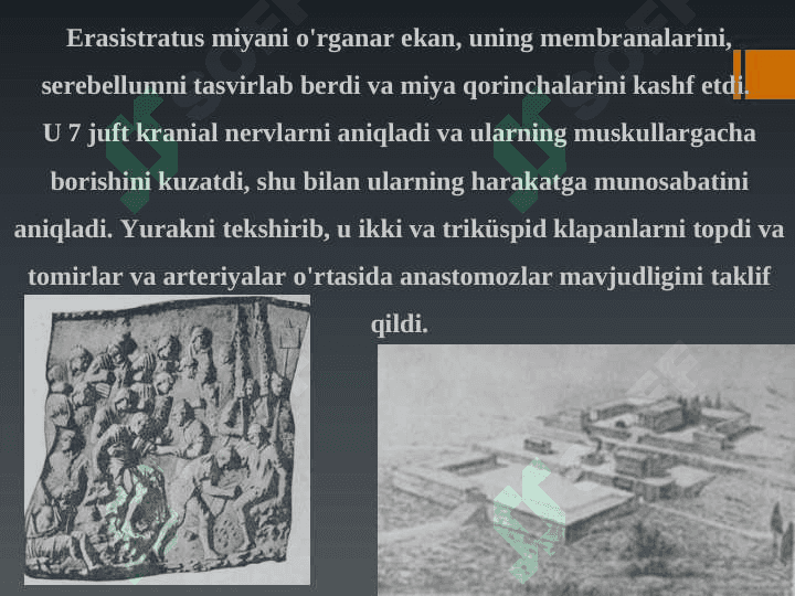 Qadimgi Gretsiya va Rimda jarrohlik usullari 6