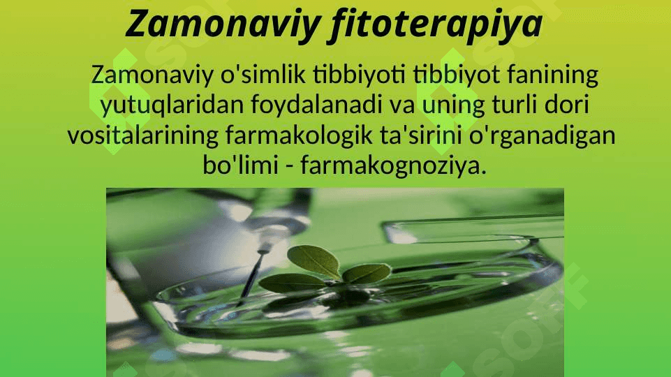 Fitoterapiya 6