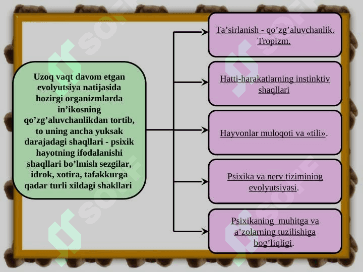 PSIXIK JARAYONLARNI VUJUDGA KELISHI 6