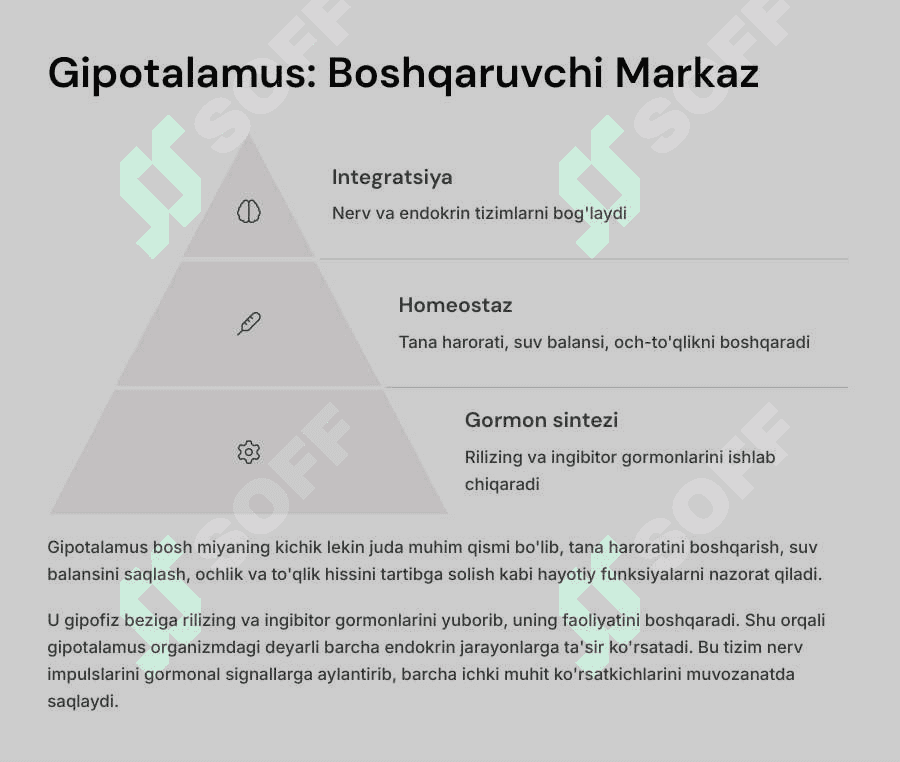 Ichki sekretsiya  bezlari fiziologiyasi. Gipotalamo-gipofizar tizim. 3