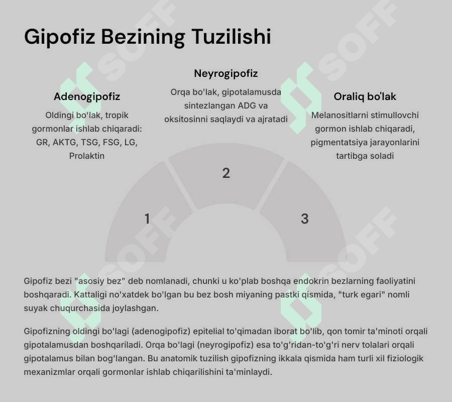 Ichki sekretsiya  bezlari fiziologiyasi. Gipotalamo-gipofizar tizim. 4