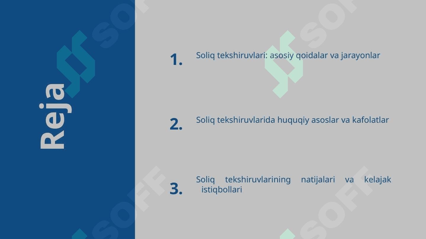 Soliq tekshiruvlarini o'tkazish tartibi 2