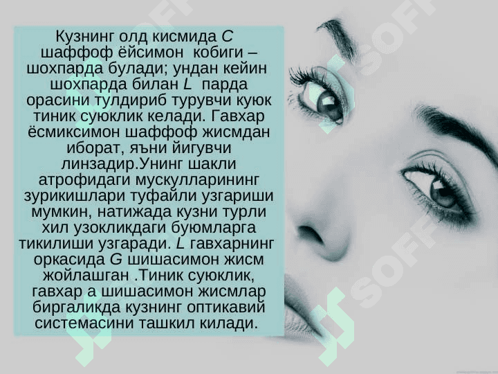 КЎРИШ ЎТКИРЛИГИ ВА ЖАДВАЛИНИ АНИҚЛАШ 4