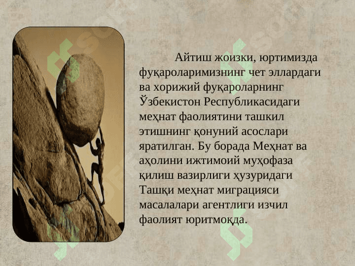 Корея масаласи 7