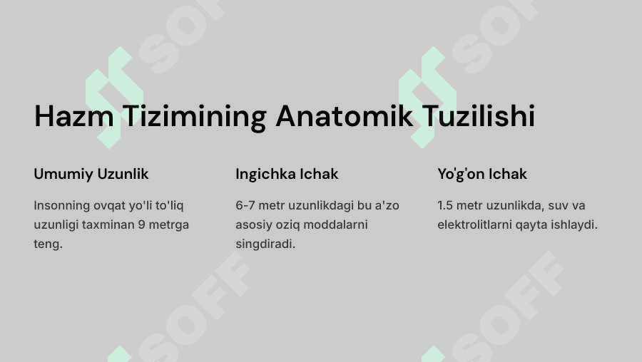 Ingichka va yo‘g‘on ichakda ovqat hazm bo‘lishi 2