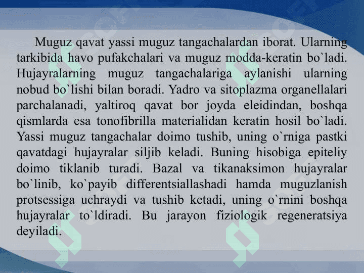 Ko'p qavatli epiteliy toʻqimasi 8
