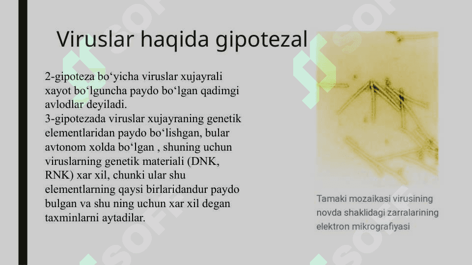 Viruslarning kelib chiqishi va ularning ahamiyati 3