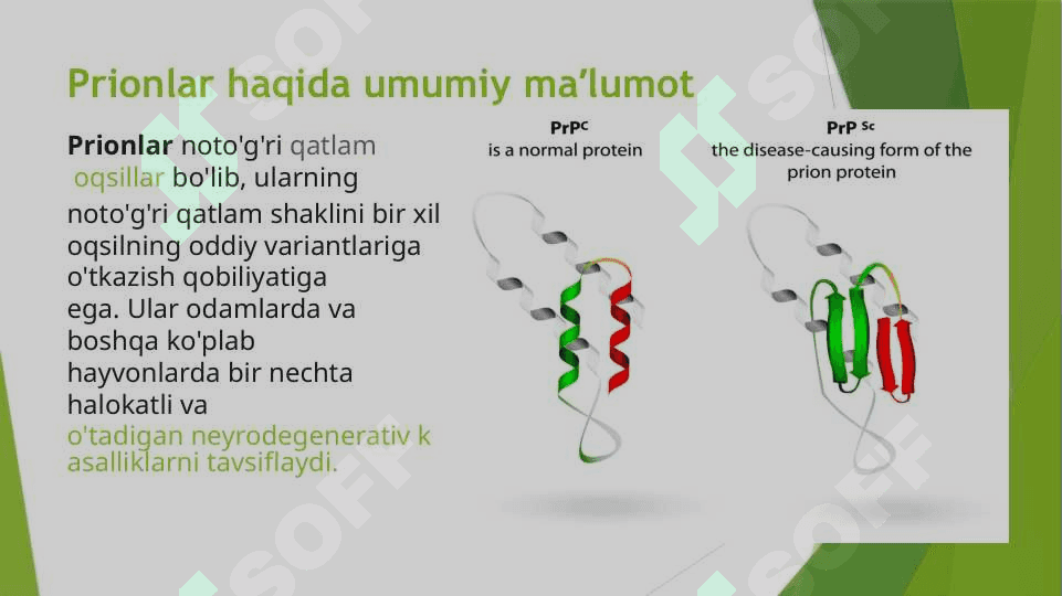 Prionlar va ularning ahamiyati 2