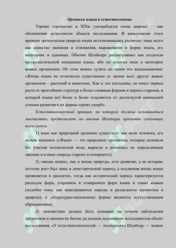 Натуралистическая концепция А Шлейхера 3
