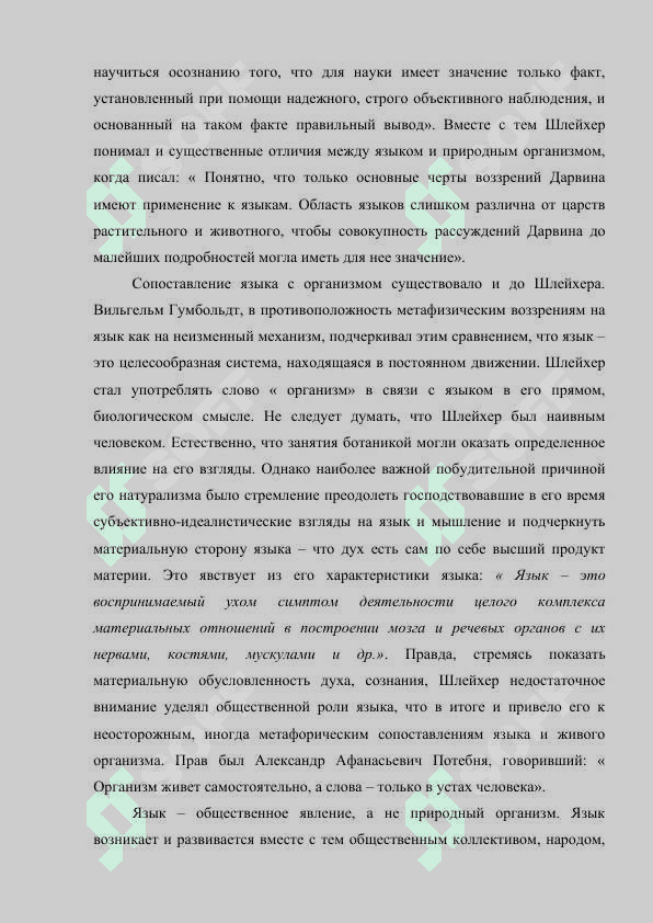 Натуралистическая концепция А Шлейхера 4