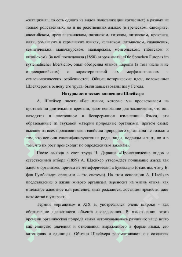 Натуралистическая  концепция А. Шлейхера. 4