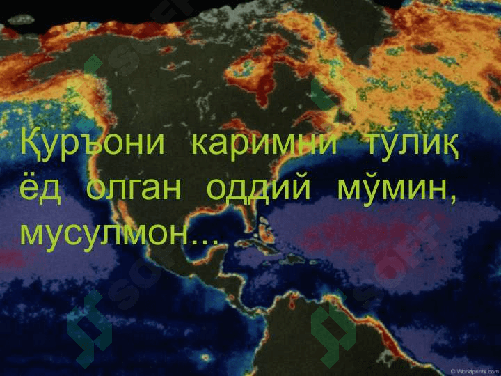 amir temur 7