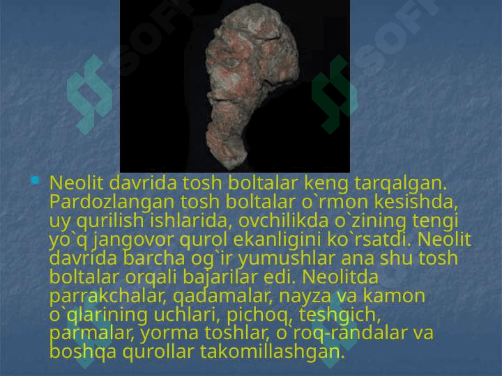 O`rta Osiyoda Neolit davri 7