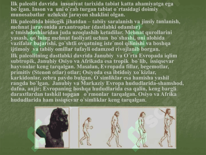 O`rta Osiyodagi ibtidoiy manzilgohlari 7