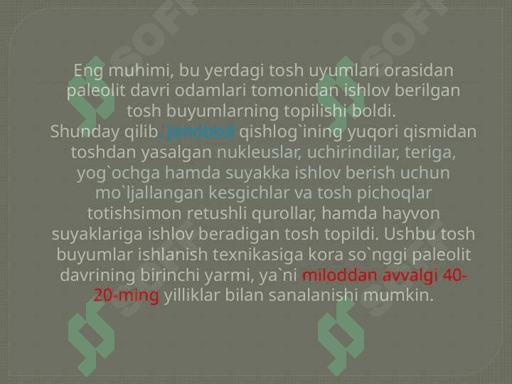 Fargʻona soʻnggi paleolit davri 6