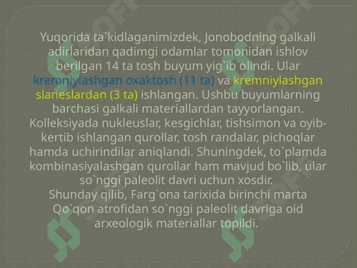 Fargʻona soʻnggi paleolit davri 8