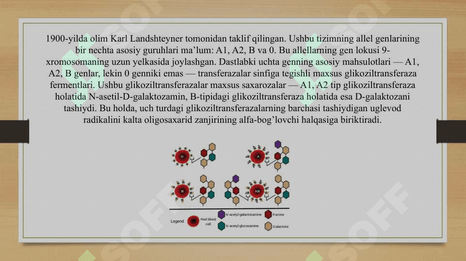 Qon guruhi va rezus faktorni aniqlash 4