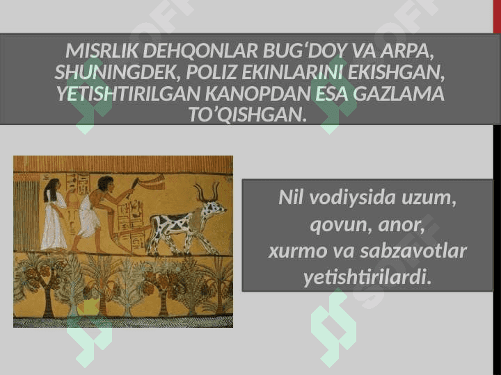 SIVILIZATSIYALAR TIZIMIDA MISR 7