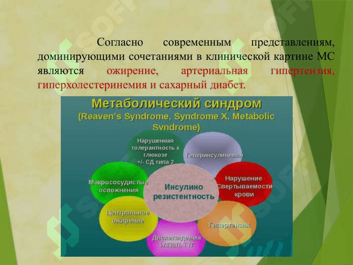 Влияние питания на возникновение Метаболического синдрома 2