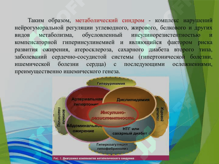 Влияние питания на возникновение Метаболического синдрома 3