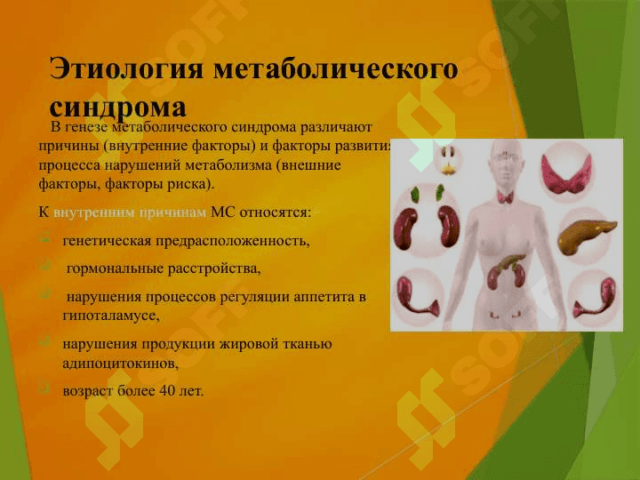 Влияние питания на возникновение Метаболического синдрома 4