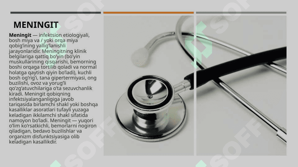 MENINGIT KASALLIGINING KELIB CHIQISH SABABLARI VA ASORATLARI 2