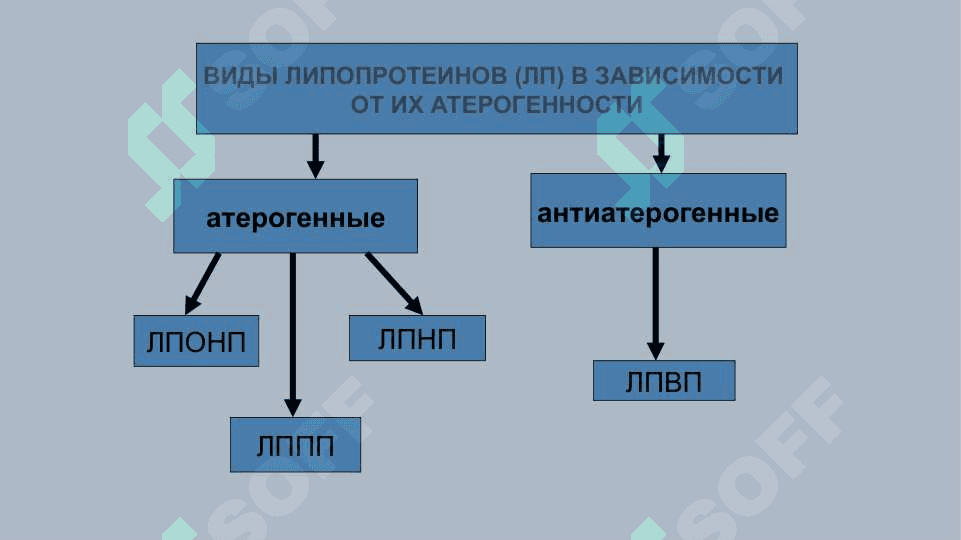 Атеросклероз 3