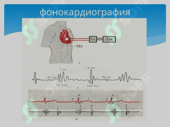 Юрак фаолиятининг ташқи кўрсаткичлари 4