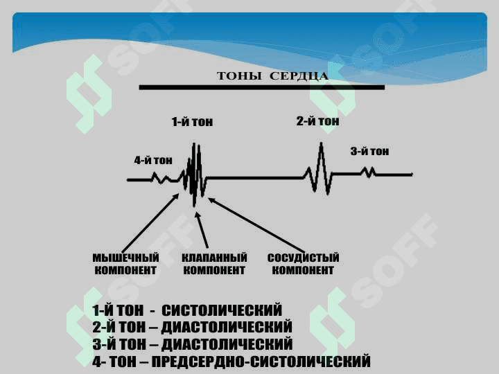 Юрак фаолиятининг ташқи кўрсаткичлари 5