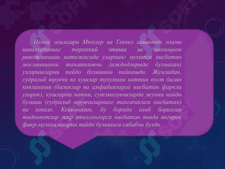 Макроэволюция муаммолари. Онтогенез эволюцяиси. Филэмбриогенез хакида таълимот 4