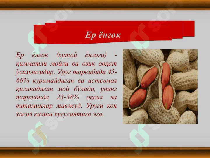 Yer yong"oq va kanakunjut biologiyasi va yetishtirish texnologiyasi 2