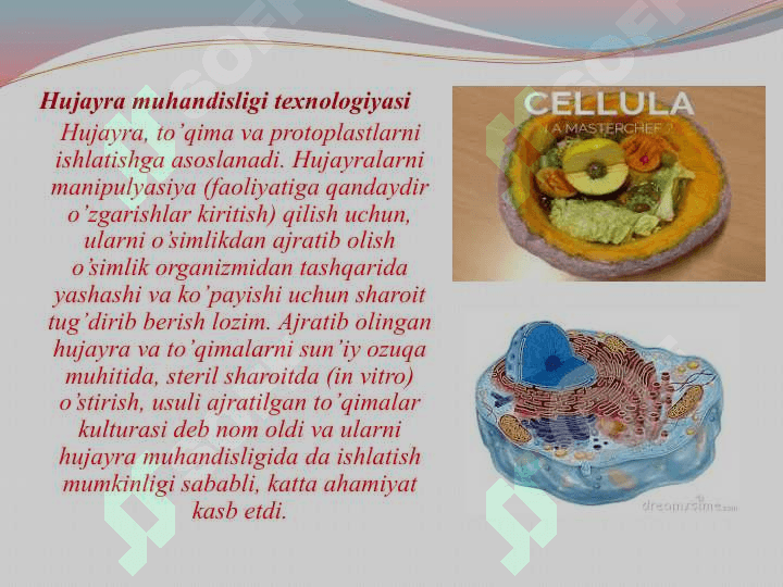 Xujayra muhandisligining mohiyati va vazifalari 3