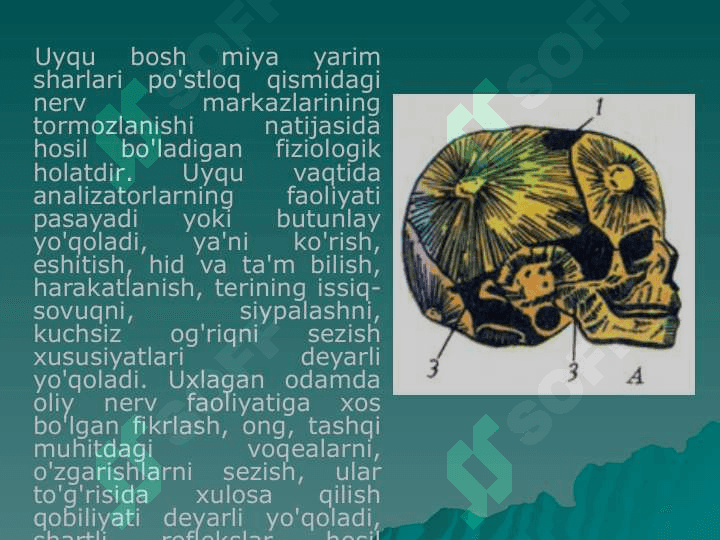 Uyqu va tush ko’rish gigenasi 4