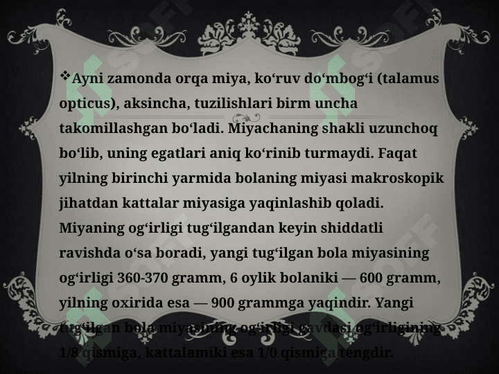 Bolalarda bosh miyaning morfologik va funksional xususiyatlari 4
