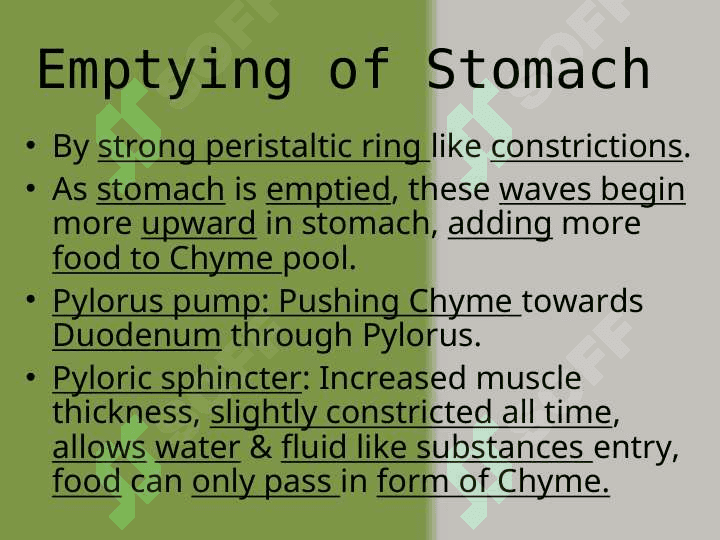 The movements of the stomach 7
