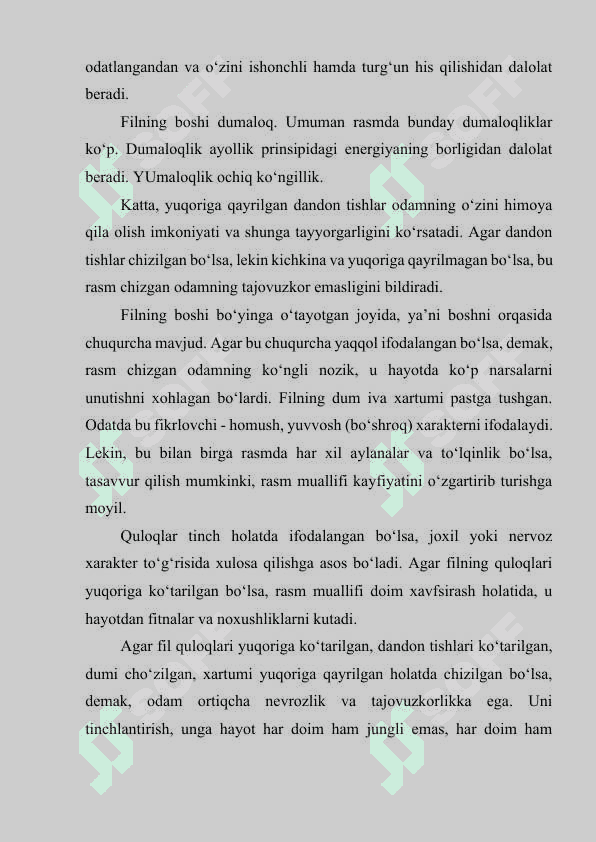 FIL RASMI TESTI 2
