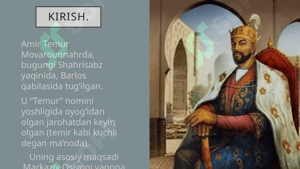Amir Temur 3