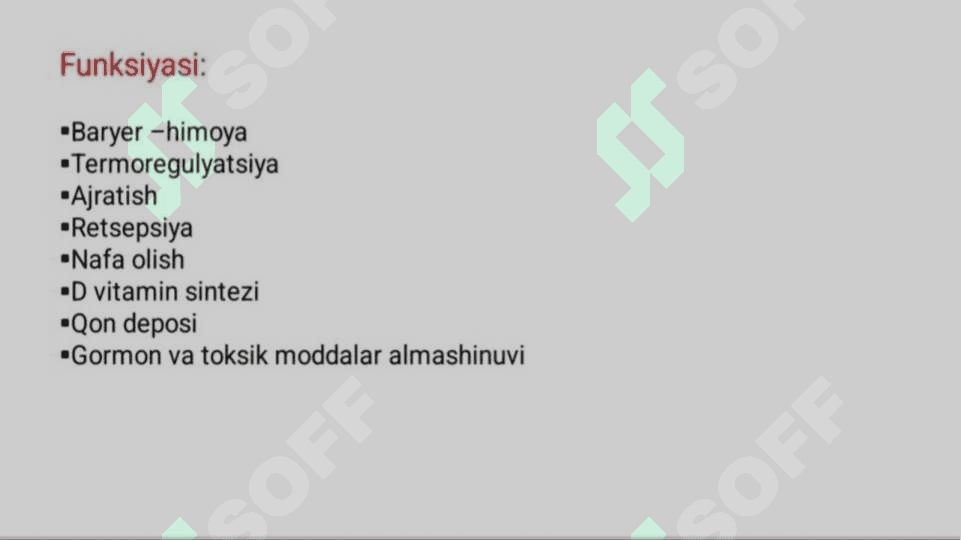 Keratinizatsiya jarayonlari haqida zamonaviy tasavvurlar 6