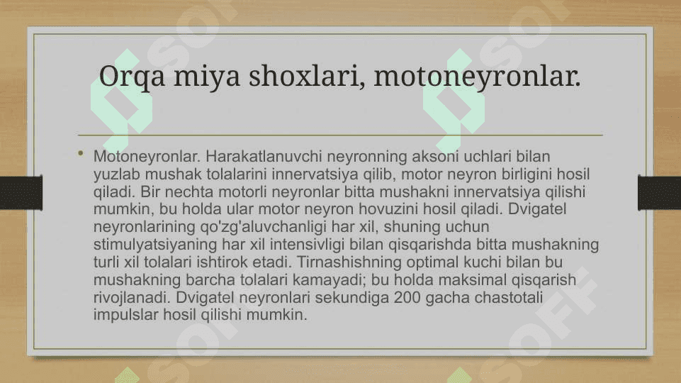 Orqa miyaning harakatlantiruvchi neyronlaring turlari , ularning morfofunksional xususiyatlari 8