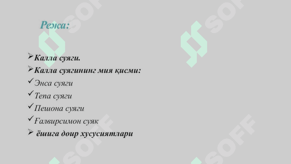 Калла суяги. Калла суягининг мия қисми: энса, тепа, пешона ва ғалвирсимон суяклар 2