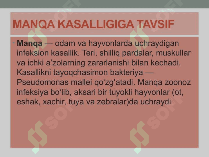 Manqa kasalligi qo’zg’atuvchisini laboratoriya diagnostikasi 3
